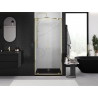 Mexen Exo-BR Duo uși de duș duble cu deschidere batantă 110 cm, transparent, aurii - 8182-110-000-50-00