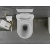 WC Mexen Lena fără ramă cu capac cu închidere lentă slim, duroplast, alb/auriu model solzi - 30224008
