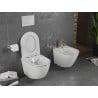 Mexen Lena vas de toaletă Rimless cu capac slim cu închidere lentă, duroplast, Albă/aurie linii - 30224005