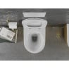 Mexen Lena vas de toaletă Rimless cu capac slim cu închidere lentă, duroplast, Albă/aurie model tip linii - 30224007