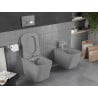Mexen Teo perem nélküli wc csésze leeresztő automatikás ülőkével, Duroplaszt, Világosszürke matt - 30854061