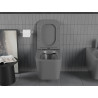 Mexen Teo vas WC fără margine cu capac cu cădere lentă slim, duroplast, gri închis mat - 30854071