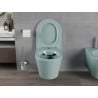 Mexen Rico perem nélküli wc csésze leeresztő automatikás ülőkével, duroplast, Világoszöld matt - 30724048