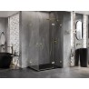Mexen Lunar Cabină de duș dublă cu uși batante dreapta 110 x 105 cm, transparentă, auriu periat - 834-110P-105L-55-00