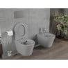 Mexen Rico perem nélküli wc csésze leeresztő automatikás ülőkével, Duroplaszt, Világosszürke matt - 30724061