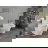 Mexen Rico vas de toaletă Rimless cu capac slim cu închidere lentă , duroplast, Albă - 30720300