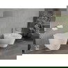 Mexen set cadru pentru bideu încastrat Felix B incastrat și bideu Rico, Albă - 69935724800