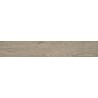 Mexen Gaatha Tortora mázas gres rekt. G1, fa mintázatú padló-fali lap 120 x 20 cm, matt - TL603-120-020-03