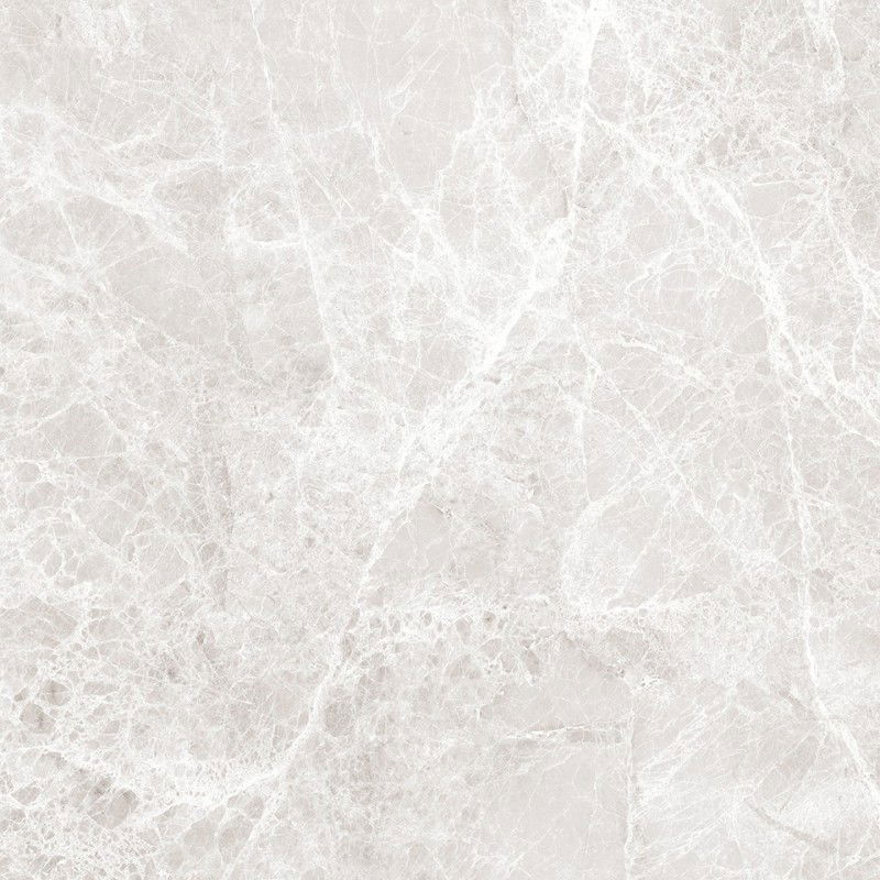 Mexen Lizard Silver gres glazurat rectificat G1, placă de podea-perete 60 x 60 cm, lucios - TL109-060-060-03