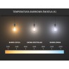 Mexen Vintis 10x LED filament izzó E14, C35, 4W, Meleg - 2200K, 400 lm, borostyán - L154-E14-0422-50x10