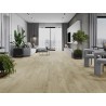 Mexen Calera probă panouri vinilice LVT Dryback 2,5 mm, substrat PVC, 4 V-Fugă, Stejar - F1320-S
