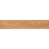 Mexen Jasperwood Eșantion Noce de gresie glazurată rect. G1, placă imitând lemnul pentru podea și perete, mat - TL605-03-S