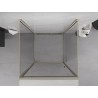 Mexen Exo-3S cabina de duș cu 3 pereți, cu ușă batantă 100 x 100 cm, transparentă, aurie - 817-100-100-50-00-3S