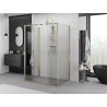 Mexen Exo-S Duo 3S cabina de duș 3-perete glisantă 140 x 100 cm, transparent, auriu - 8152-140-100-50-00-3S