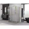 Mexen Exo-BR Duo 3S cabina de duș cu 3 pereți, batantă 110 x 100 cm, transparent, auriu - 8182-110-100-50-00-3S