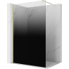 Mexen Kioto panou de duș Walk-in 120 x 200 cm, negru ombre 8 mm, auriu - 800-120-101-50-76