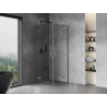 Mexen Mist-H Cabină de duș Duo cu uși rabatabile 100 x 100 cm, transparentă, gun metal - 8A5-100L-100P-95-00