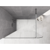 Mexen Kioto-P panou de duș Walk-in 100 x 200 cm, transparent 8 mm, crom - 800-100-101-01-00-P