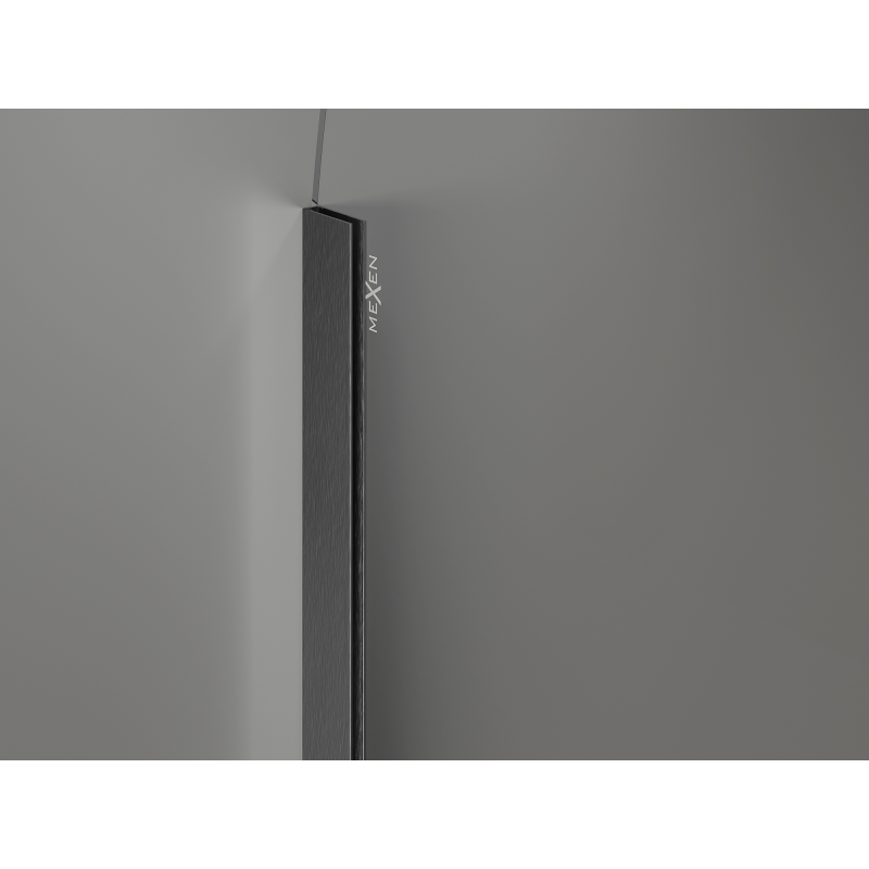Mexen Kioto-Q Walk-in zuhanyfal 120 x 200 cm, átlátszó 8 mm, matt gun metal - 800-120-101-66-00-Q