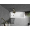 Mexen Next paravan de baie 1-canat 50 x 150 cm, grafit, auriu - 895-050-000-00-40-50
