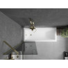 Mexen Next paravan de baie cu 1 panou 60 x 150 cm, grafit, auriu - 895-060-000-00-40-50